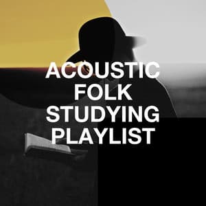 Acoustic Folk Studying Playlist - Acoustic Guitar Tribute Players