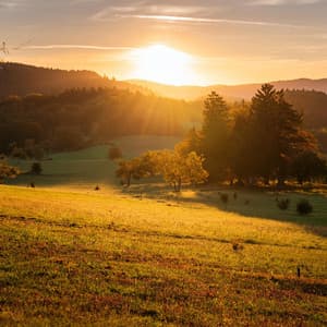 Viajes Melódicos: El Arte De La Música De Guitarra - Música Romântica