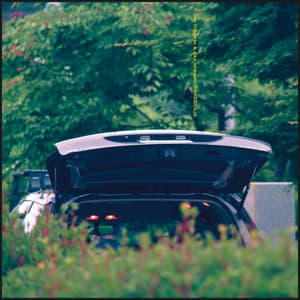 Pareidolia - Eiko Ishibashi