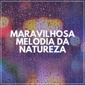Maravilhosa Melodia da Natureza - Chuva Dormir