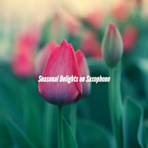 Seasonal Delights on Saxophone - Musica para Estudiar Playlist