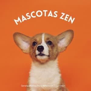 Mascotas Zen: Serena Música Para Relajación Y La Unión - Serenidad y Armonía