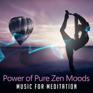 Power of Pure Zen Moods - Serenity Music Academy