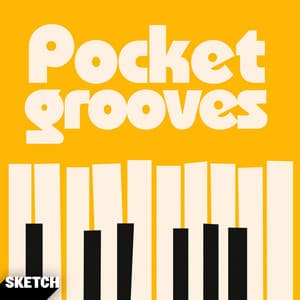 Pocket Grooves - Paul Reeves