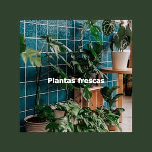 Plantas frescas - Jazz Collections for Reading