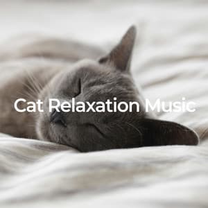 Cat Relaxation Music - Pet Relax Academy