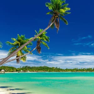 Oceanic Serenades: A Journey into Nature's Heart - Ocean Bank