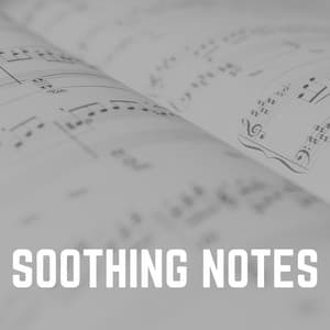 Soothing Notes - Músicas Para Relaxar