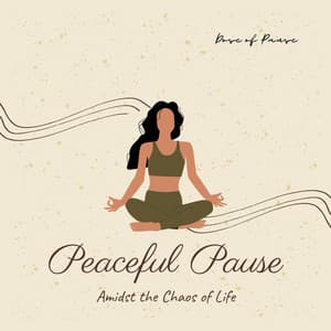 Peaceful Pause Amidst the Chaos of Life - Dose of Pause