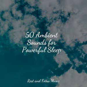 50 Ambient Sounds for Powerful Sleep - Spa