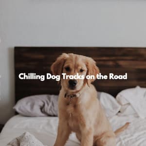 Chilling Dog Tracks on the Road - Brazilian Jazz Lounge