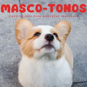 Masco-Tonos: Piano De Jazz Para Mascotas Perezosas - Relajación Piano