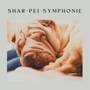 Shar-Pei-Symphonie - Hundemusik