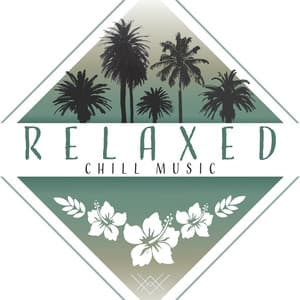 Relaxed Chill Music: Slow Beats to Calm Down, Relax on Vacation, Chill on Beach in Hawaii, Summer Rest - Hawaiian Music
