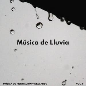 Música De Lluvia: Música De Meditación Y Descanso Vol. 1 - La Lluvia Suena Expertos en Naturaleza