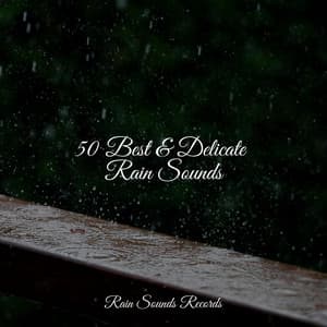 50 Best & Delicate Rain Sounds - Cascada de Lluvia
