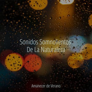 Sonidos Somnolientos De La Naturaleza - Meditación