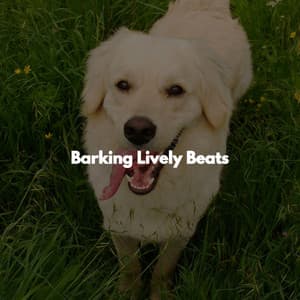 Barking Lively Beats - Working at Home