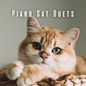 Piano Cat Duets: Dreamy Notes for Serene Feline Time - Smooth Lounge Piano