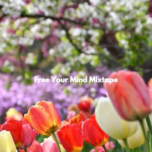 Free Your Mind Mixtape - New York Cafe Playlist