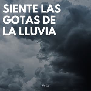 Siente las gotas de lluvia Vol. 1 - Ruido de Lluvia