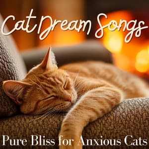 Cat Dream Songs - Pure Bliss for Anxious Cats - RelaxMyCat