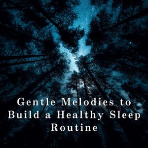 Gentle Melodies to Build a Healthy Sleep Routine - LOVE BOSSA