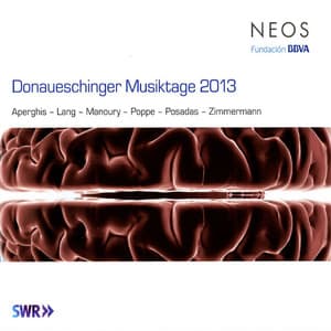 Donaueschinger Musiktage 2013 - Emilio Pomárico