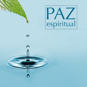Paz Espiritual - Musicas Relaxantes Instrumentais e Musicas Calmas para Meditação e Pensamento Positivo - Academia de Relaxamento e Meditação