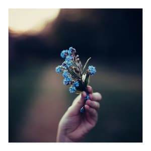 Am I Really You? - Oasis For Piano