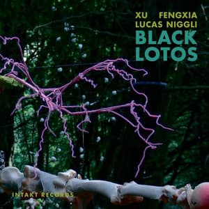 Black Lotos - Xu Fengxia