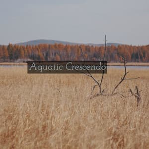 Aquatic Crescendo - Arctic Comfort