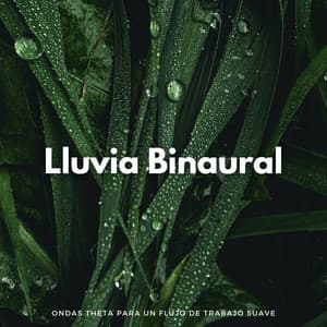 Lluvia Binaural: Ondas Theta Para Un Flujo De Trabajo Suave - Realidad Binaural