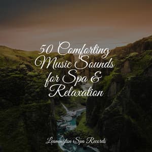 50 Comforting Music Sounds for Spa & Relaxation - Chakra Balancing Sound Therapy