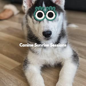 Canine Sunrise Sessions - Dog Music Dreams