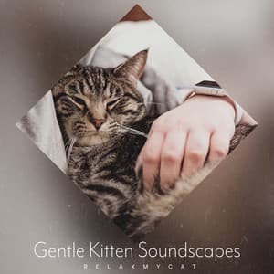 Gentle Kitten Soundscapes - RelaxMyCat