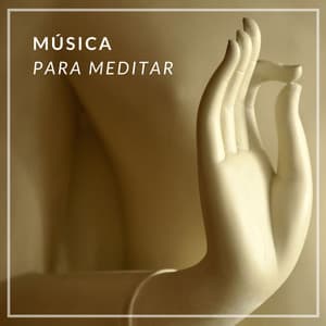 Música para Meditar - Musica para Meditar Especialistas