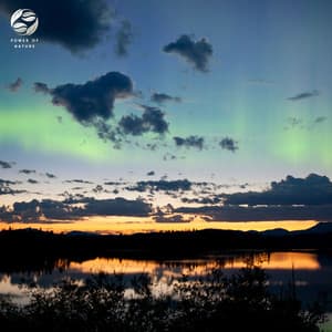 Midnight Forest Meditation - Mother Nature Ambience