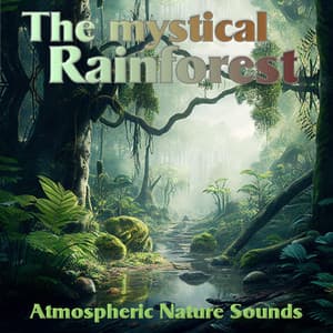The mystical Rainforest: Atmospheric Nature Sounds - Nature Sound Series
