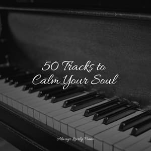 50 Soothing Piano Pieces to Calm Every Mind - Study Piano