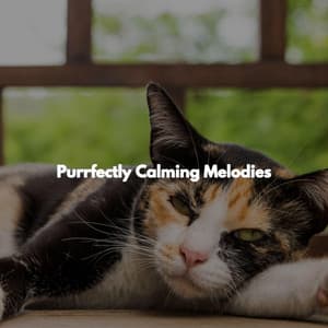 Purrfectly Calming Melodies - Jazz for Hotel Lobbies