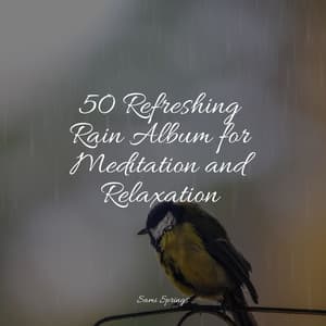 50 Refreshing Rain Album for Meditation and Relaxation - The Sleep Specialist