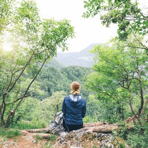 Gentle Lofi Echoes: Creating Harmony in Silence - Lofi Nation