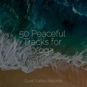 50 Peaceful Tracks for Yoga - Rainforest Sounds