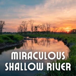 Miraculous Shallow River - Spa Music Hour