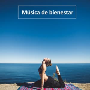 Música de bienestar - Relax Lounge Cafe