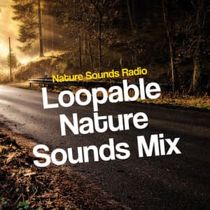 Loopable Nature Sounds Mix - Nature Sounds Radio