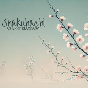 Shakuhachi Cherry Blossom: Japanese Relaxing Meditation Music - Japanese Zen Shakuhachi