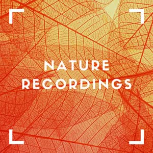Natural Sleep Noise - Natural Sample Makers