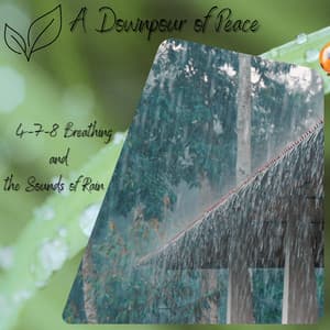A Downpour of Peace: 4-7-8 Breathing and the Sounds of Rain - Relaxaction